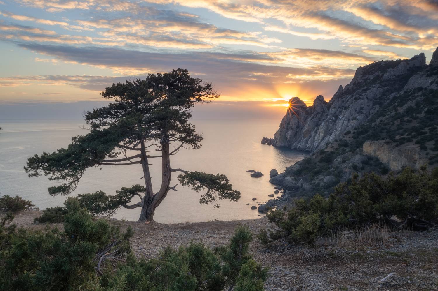 крым, новый свет, море, горы, можжевельник, караул-оба, вечер, закат, пейзаж, Дмитренко Екатерина