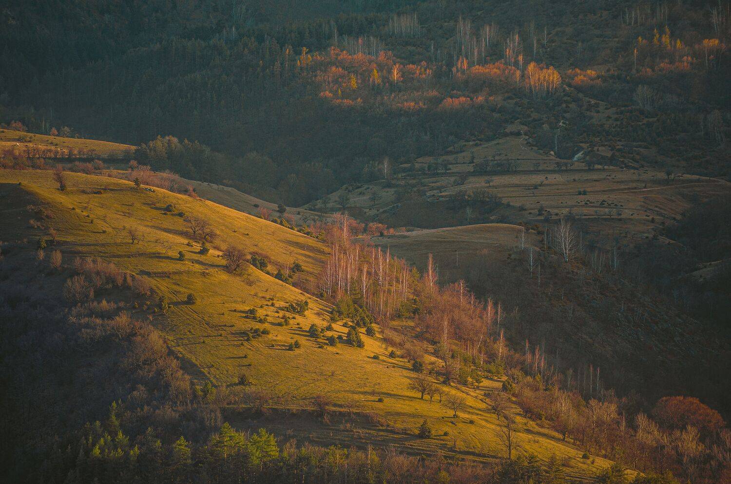 , Николов Андриян