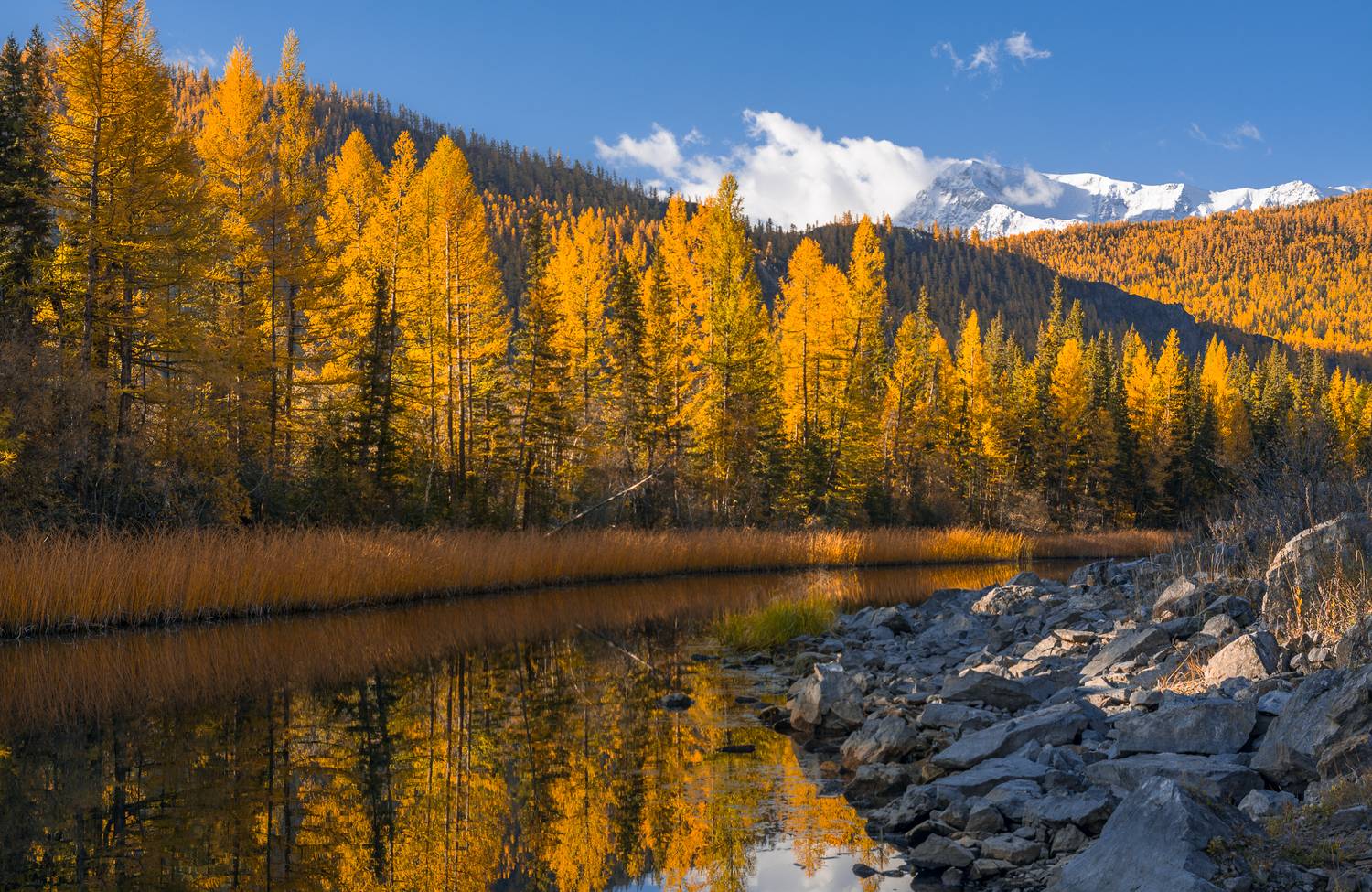 россия, горный алтай, отражение, утро, осень, Андрей Поляков