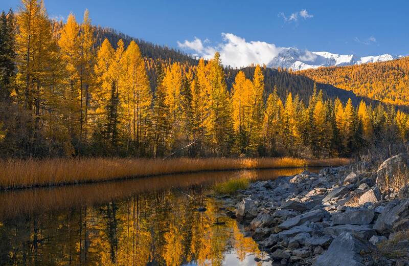 россия, горный алтай, отражение, утро, осень Утренний свет фото превью