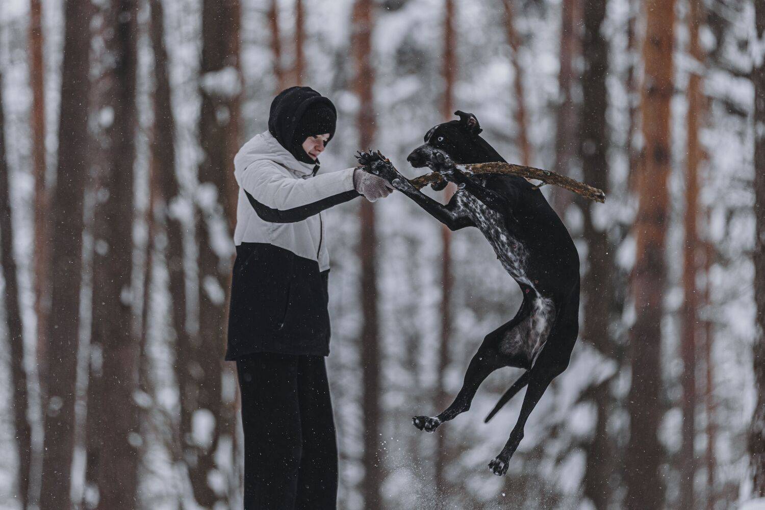 , Полина Беспалова