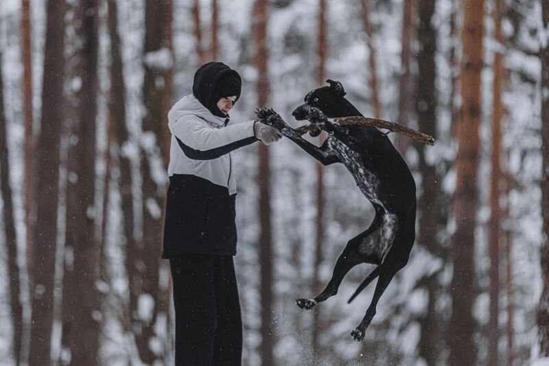 фото превью