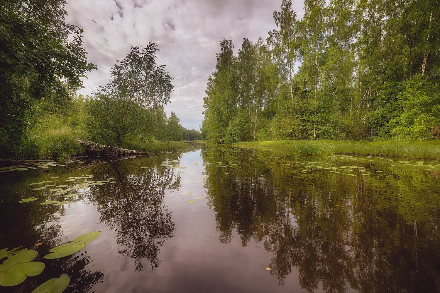 , Сергей Аникин