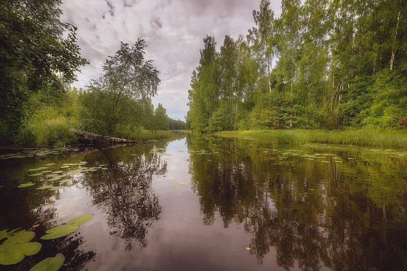 *** фото превью