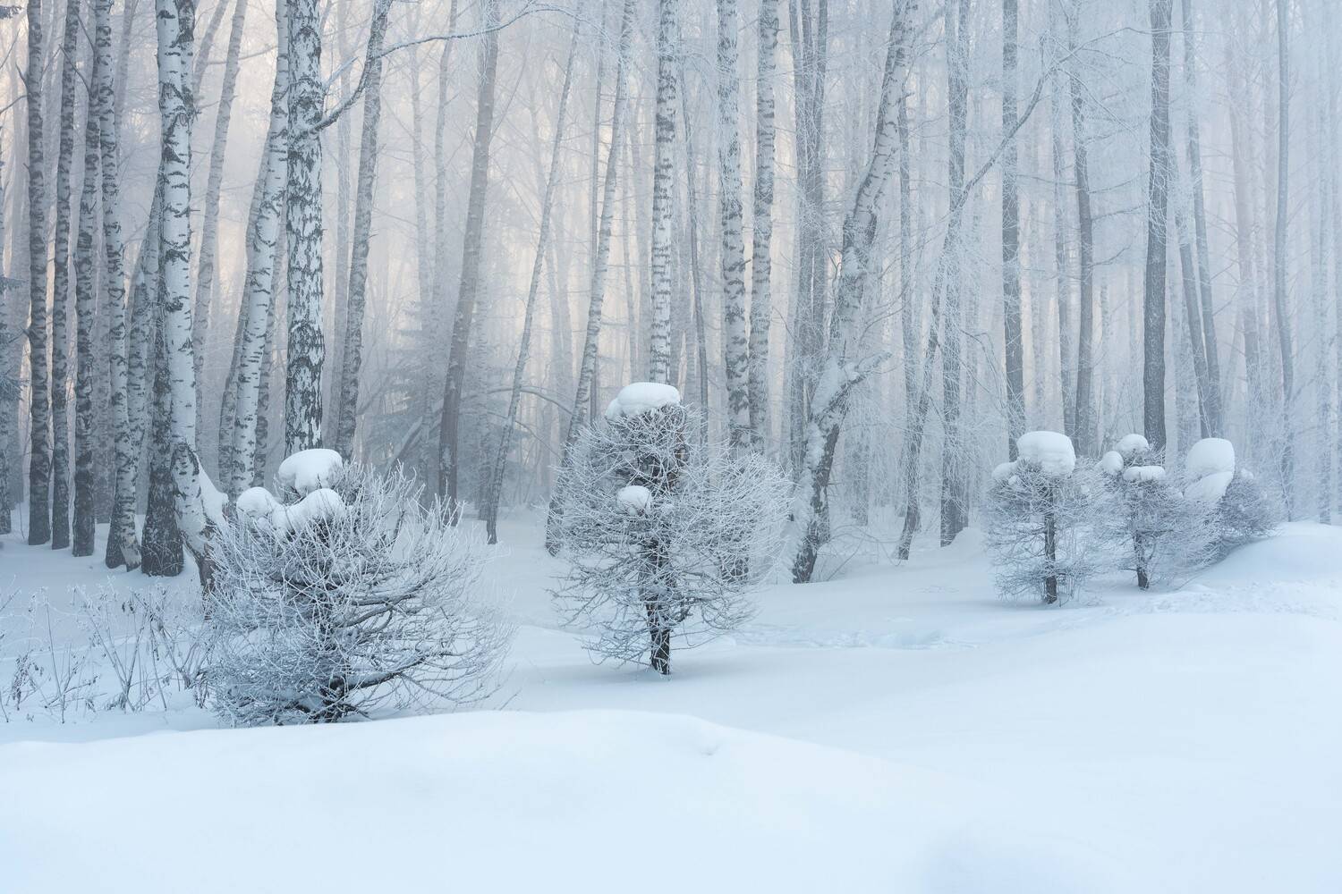 , Важенин Евгений