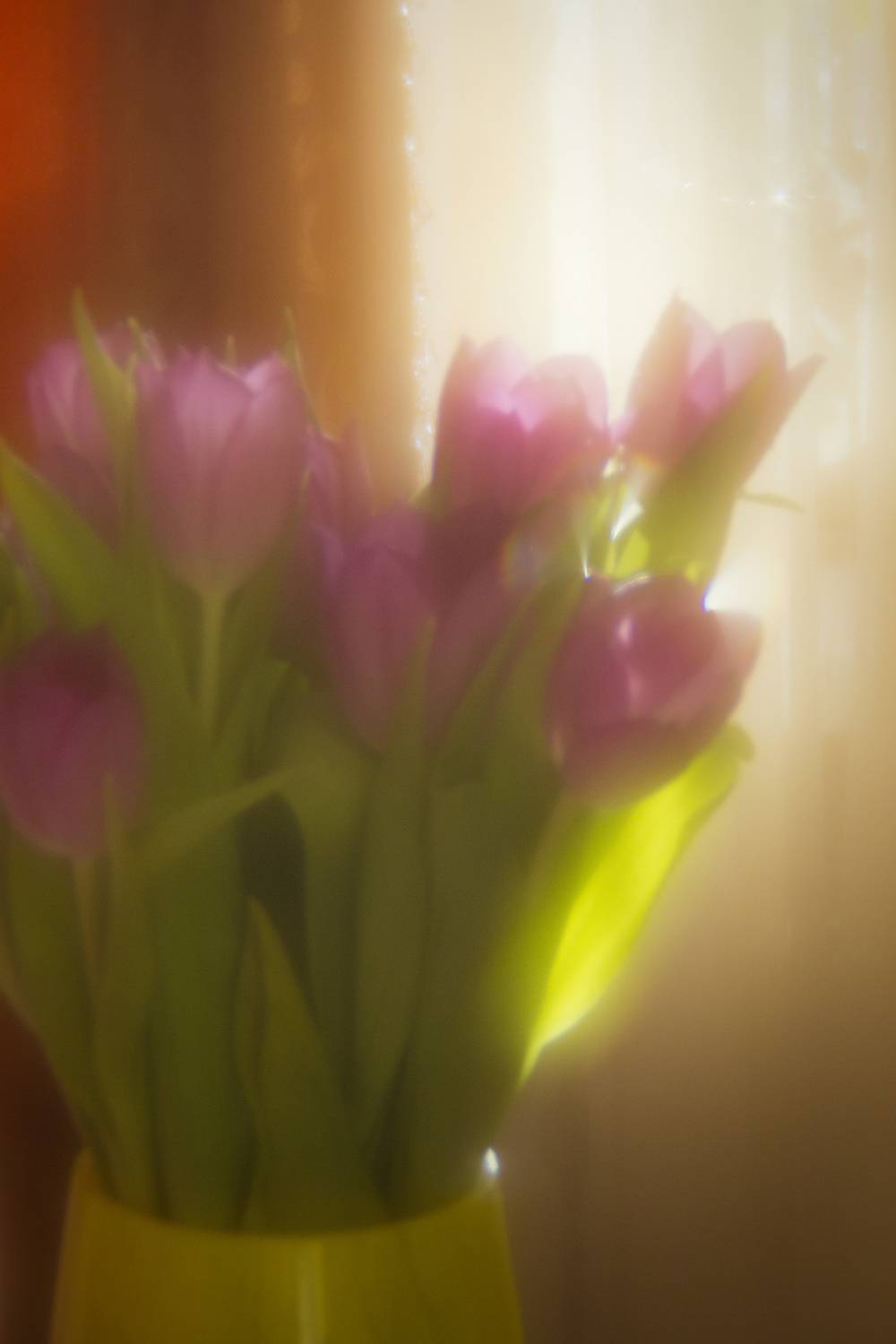 натюрморт, цветы, Алексей Назаров