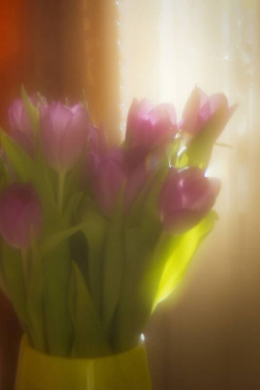 натюрморт, цветы Цветочное фото превью