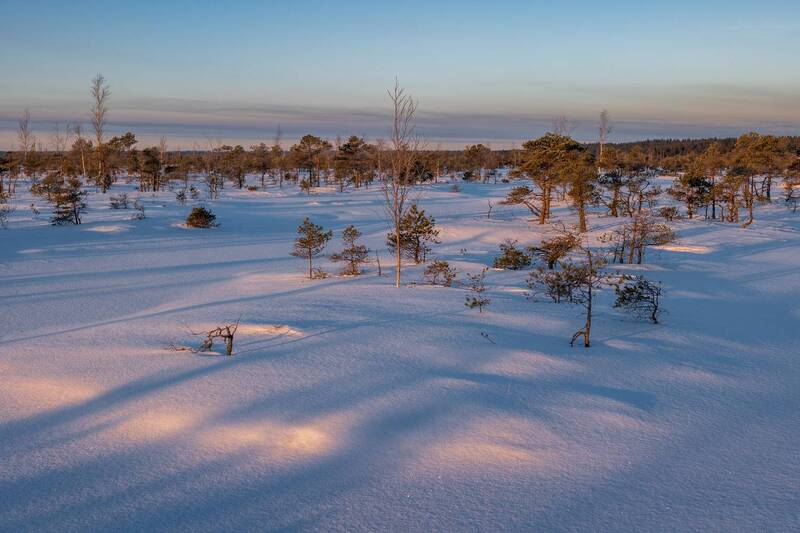 Морозное утро фото превью