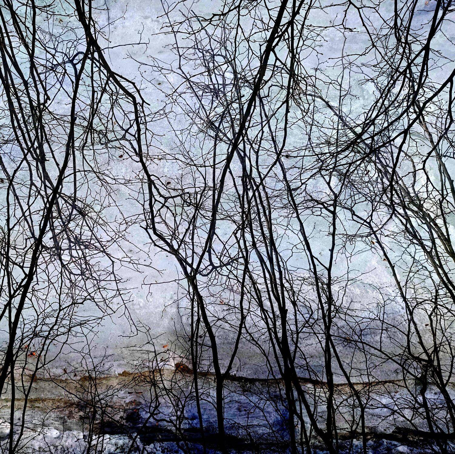 , Антон Лаба