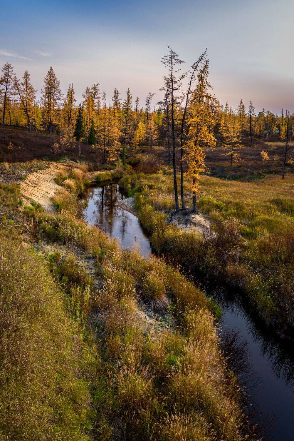 осень, ручей, пейзаж, Сторожев Олег