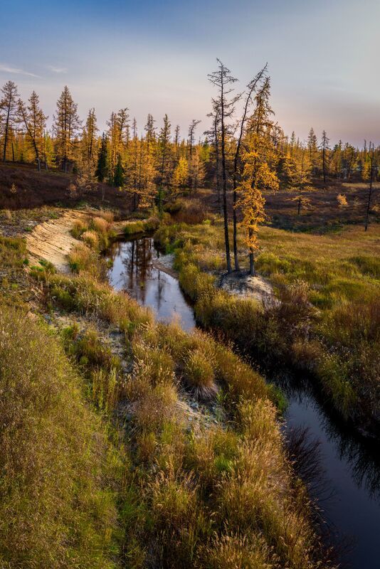 осень, ручей, пейзаж Ручей фото превью