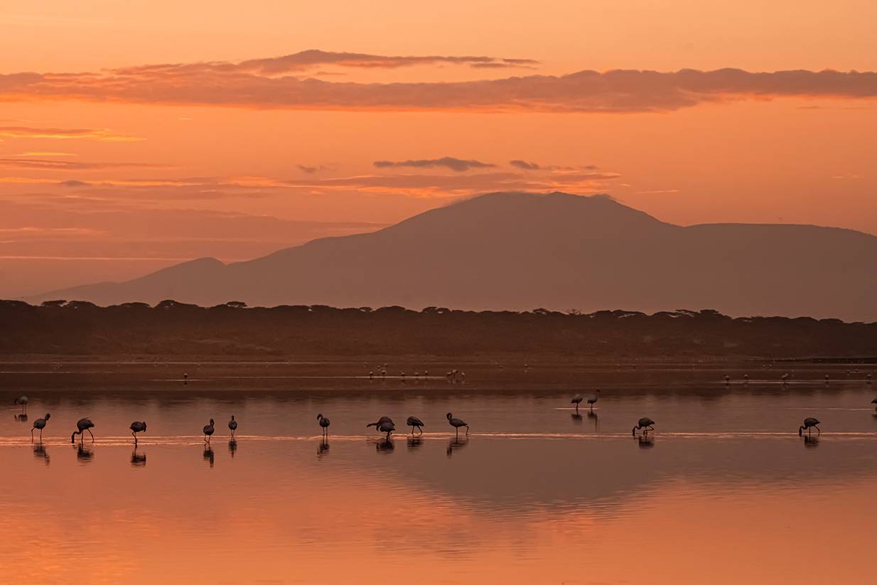 , Антипов Игорь