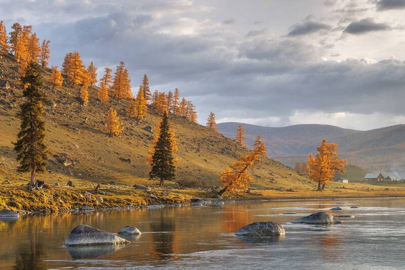 Золото Алтая фото превью