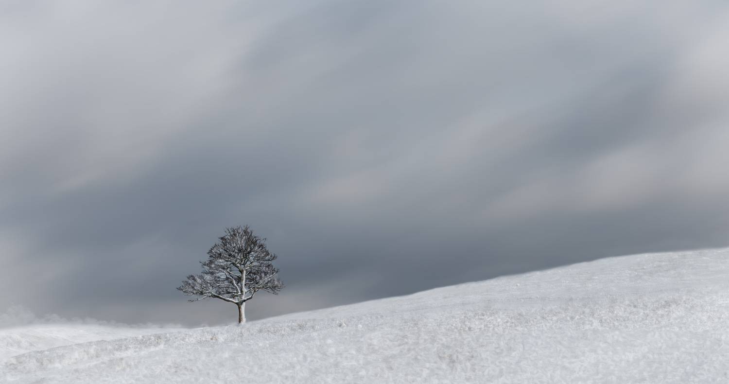 landscape, winter, minimalism, Eddie Leach