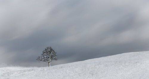 Winter\'s Breath