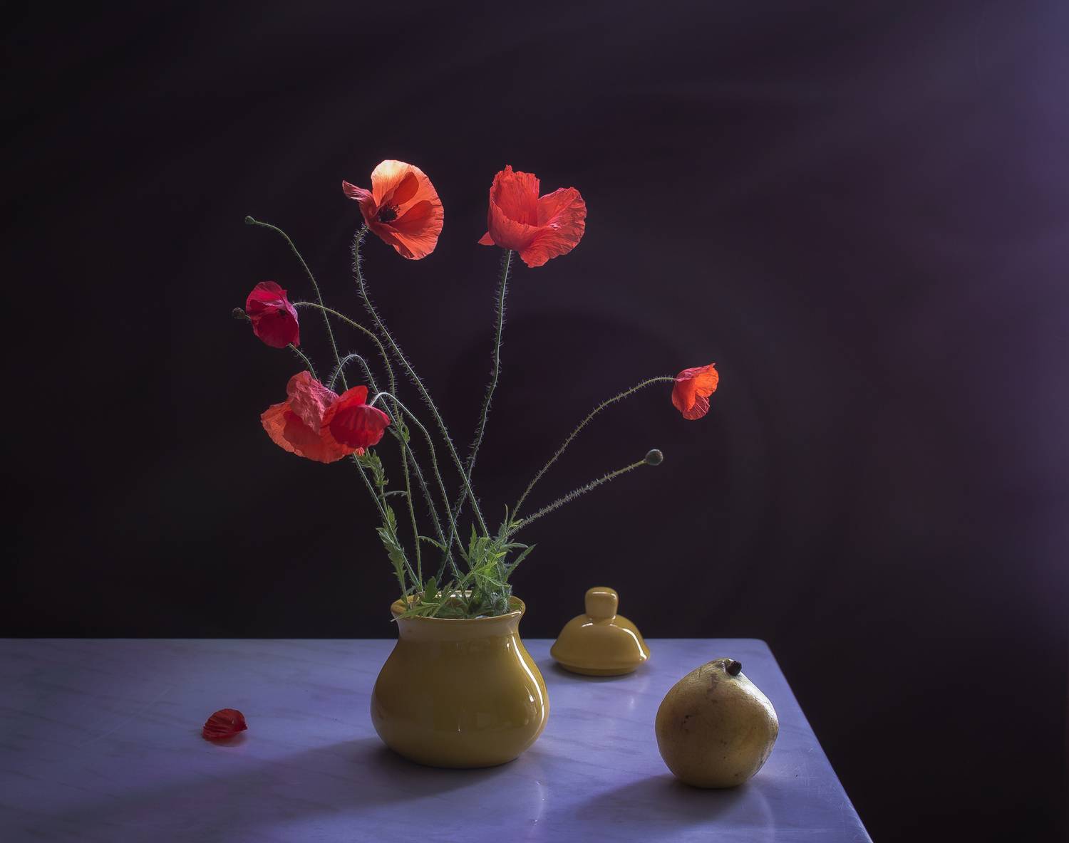 маки, свет, цвет, Инаида