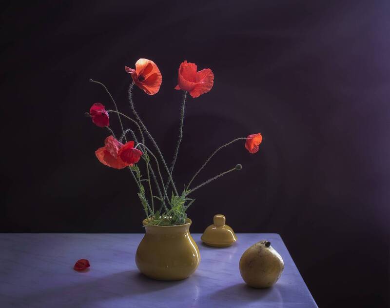 маки, свет, цвет *** фото превью