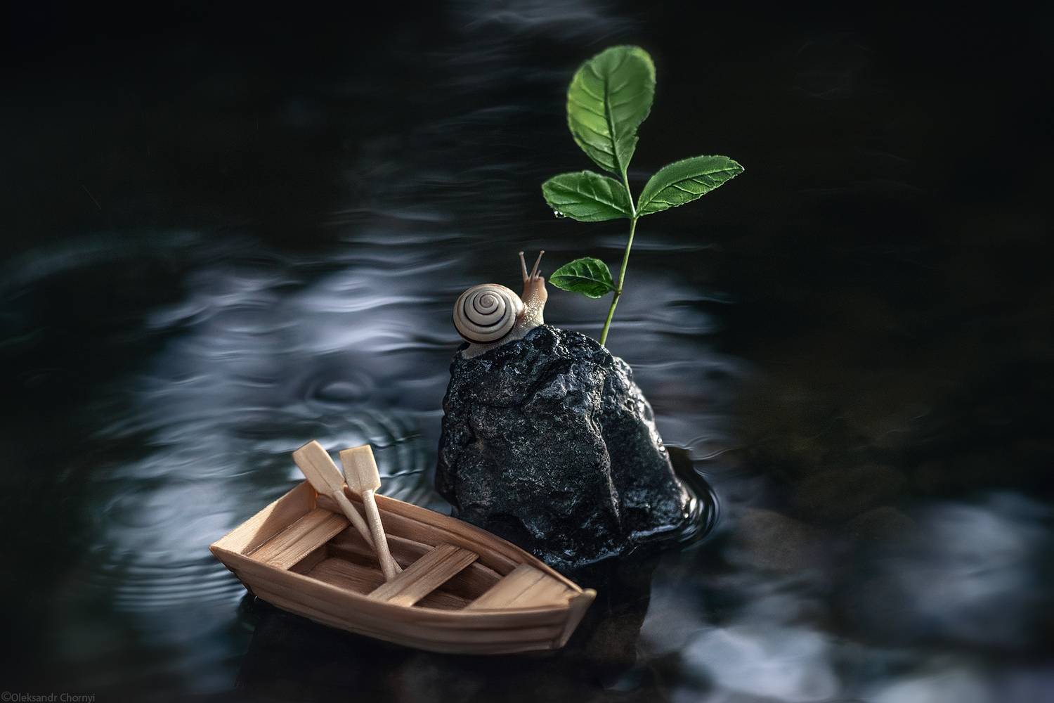 остров, жизнь, поиск, побег, река, вода, лодка, улитка, макро истории, макро мир, макро красота, сказка, волшебство, тишина, истина, осознаность, мудрость, фотографчорный, сашачорный, коростышев, украина, Чорный Александр