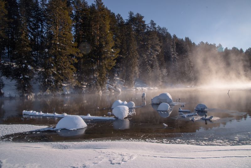 Снежные грибы фото превью