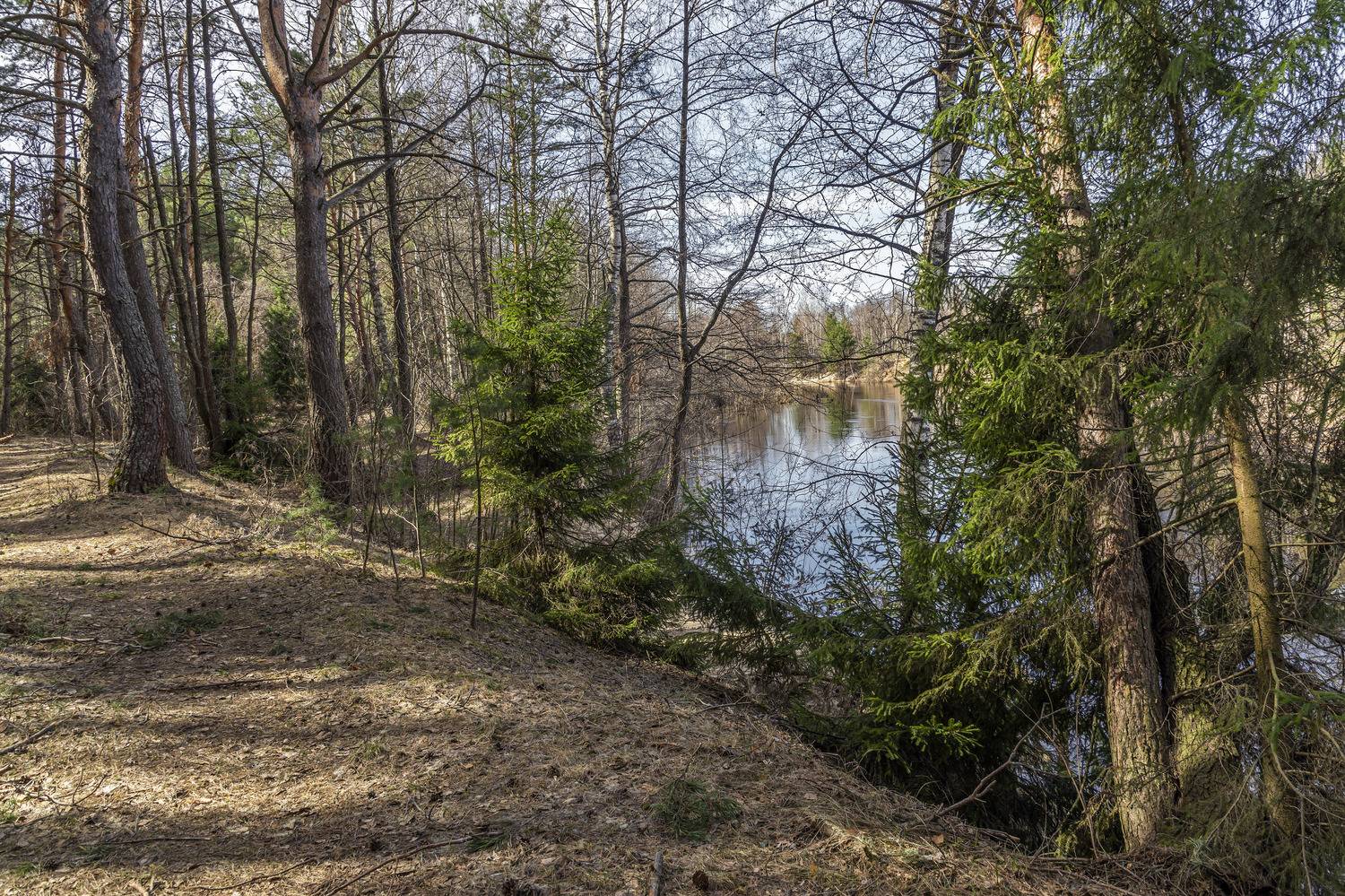 , Шитов Александр