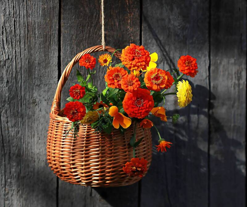 Лето в лукошке фото превью