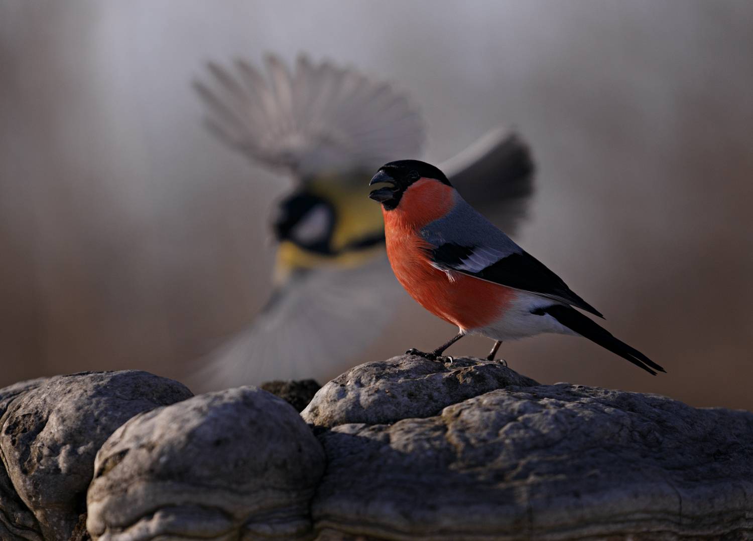 , Баранов Олег