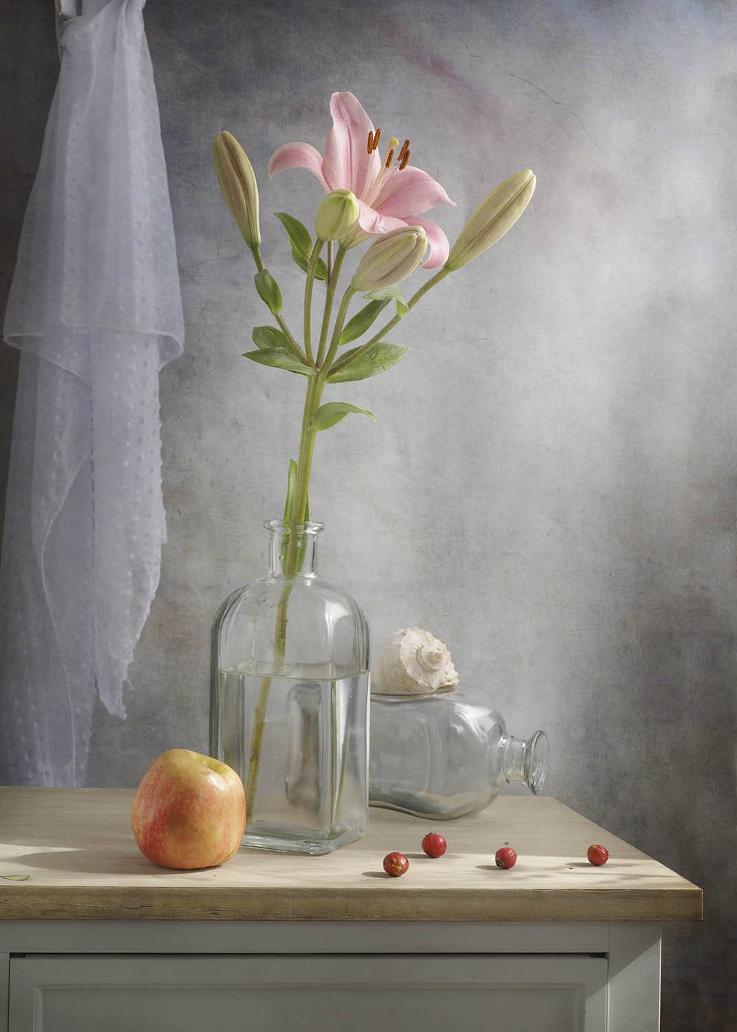 , Солодар Виктория