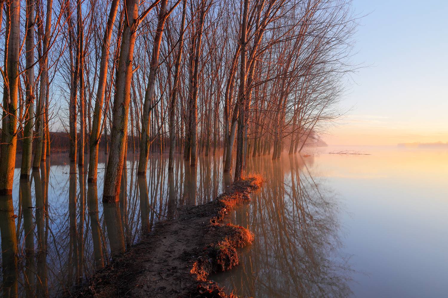 , Любослав Любомиров