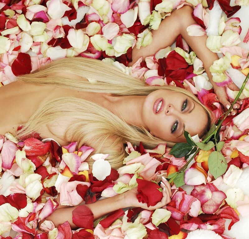 роза в розарии ;) фото превью