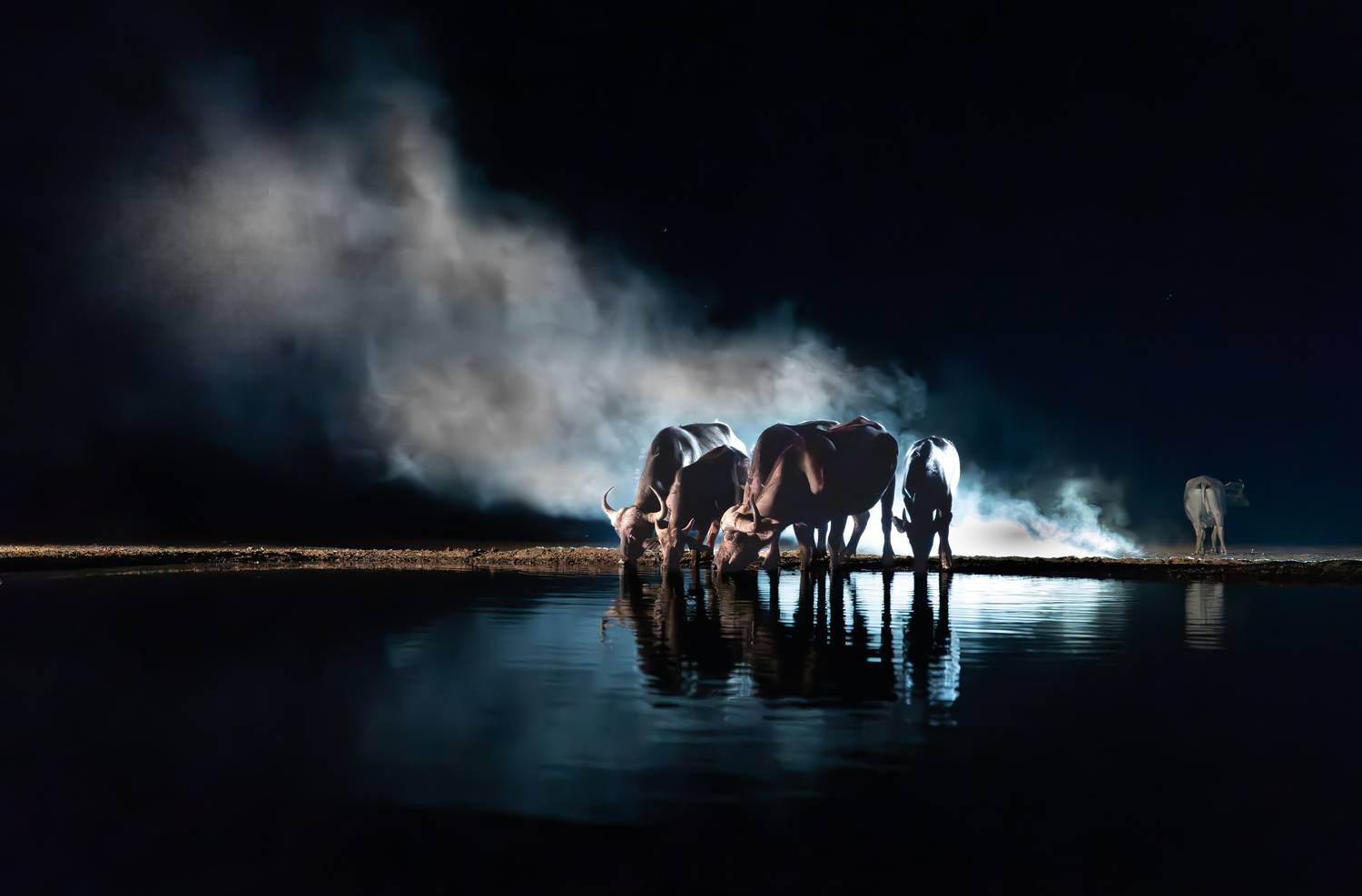 Кения, Сулоев Алексей