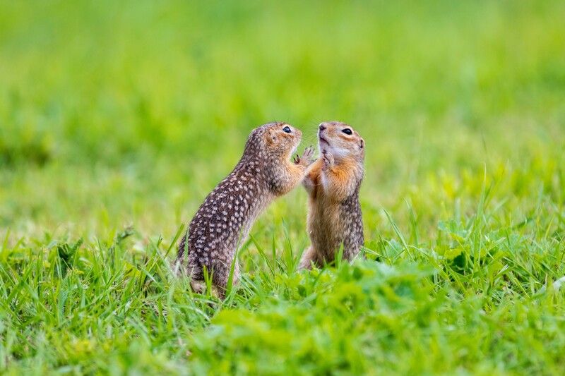 Дай тебя обниму! фото превью