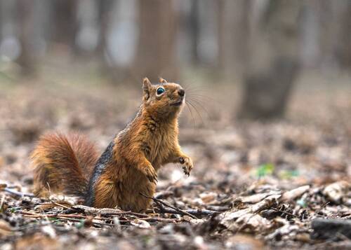 А что там у вас?