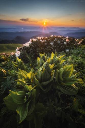 Утро на вершине горы Асбестная