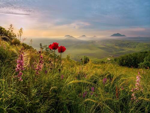 Запах весны