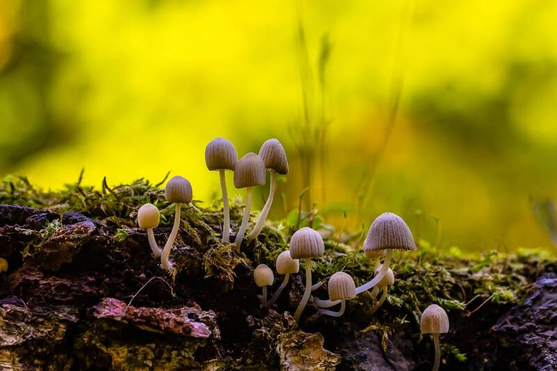 .... фото превью