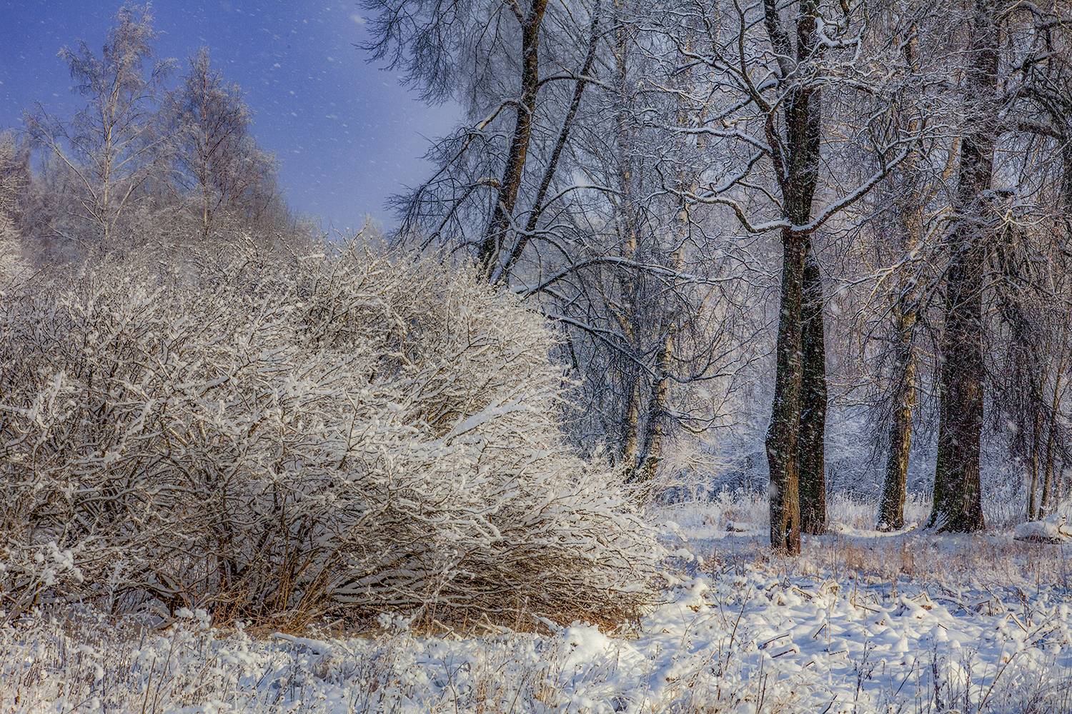 , Aleksandr Mihailov