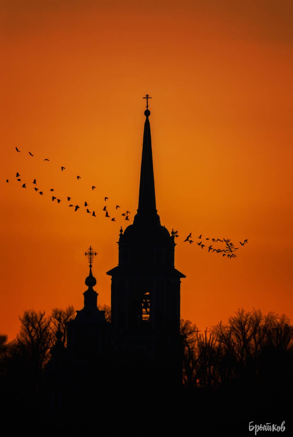 , Николай Брытков