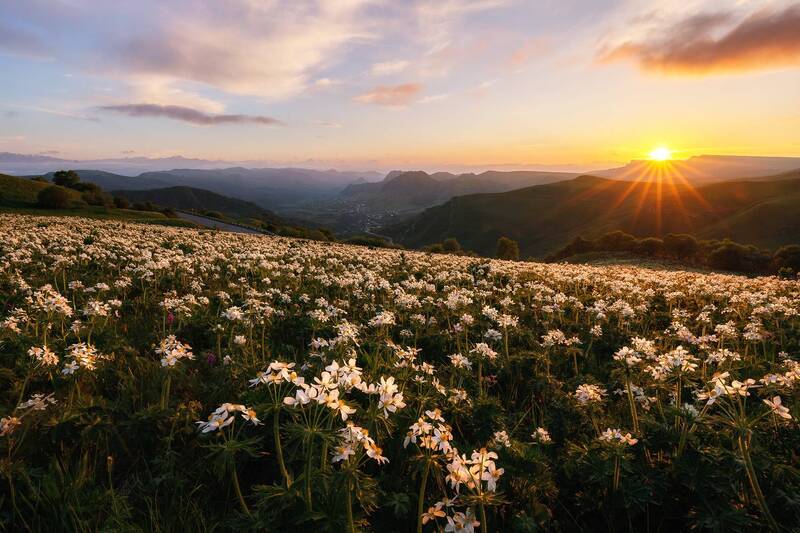 кавказ, карачаево-черкесия, кчр, гумбаши, гум-баши, весна, мара, закат, закат в горах, цветение, горные цветы, анемоны Закат с цветами фото превью