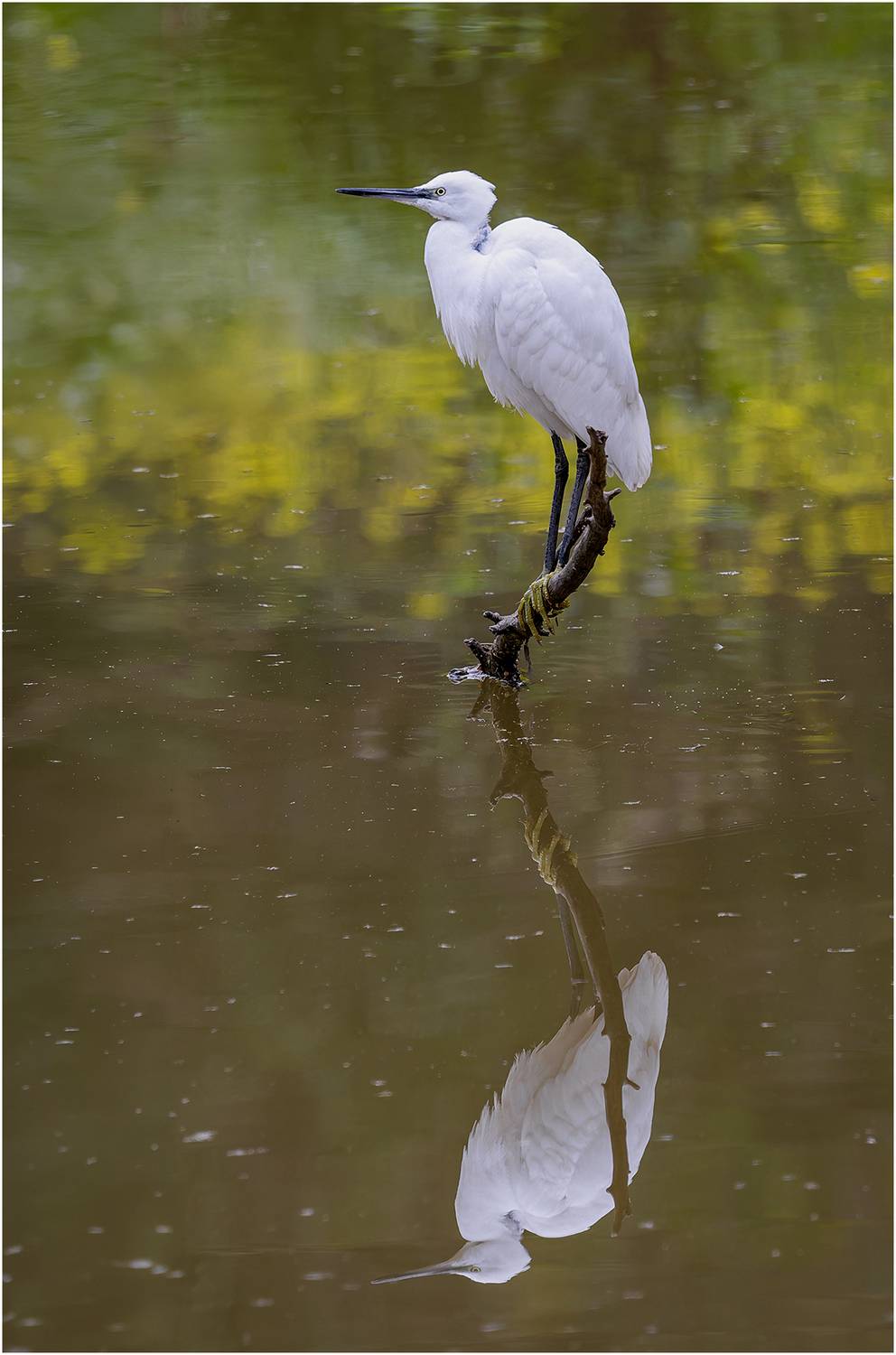 , Alexsandr Grigoriev