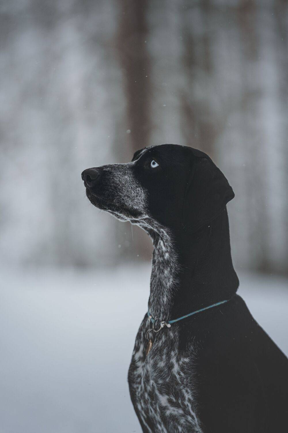 , Полина Беспалова