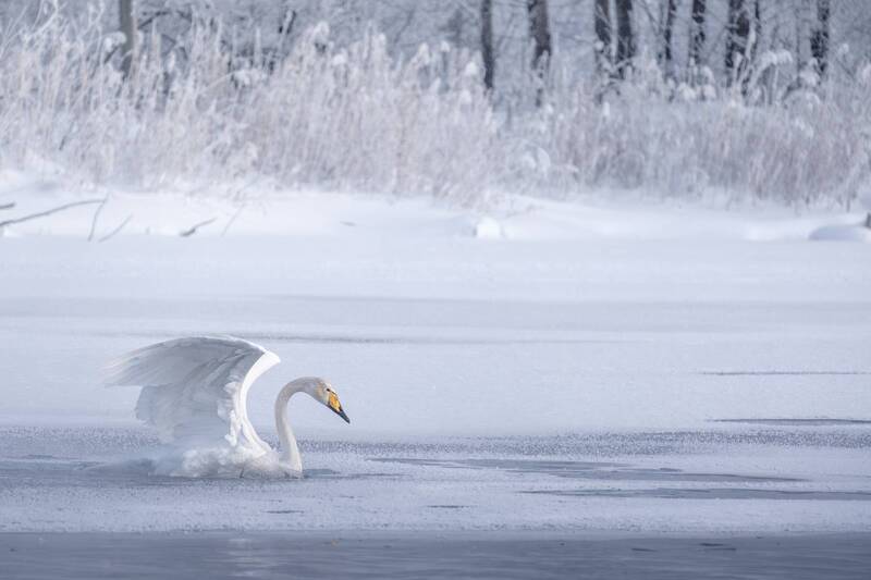 Сквозь лед фото превью