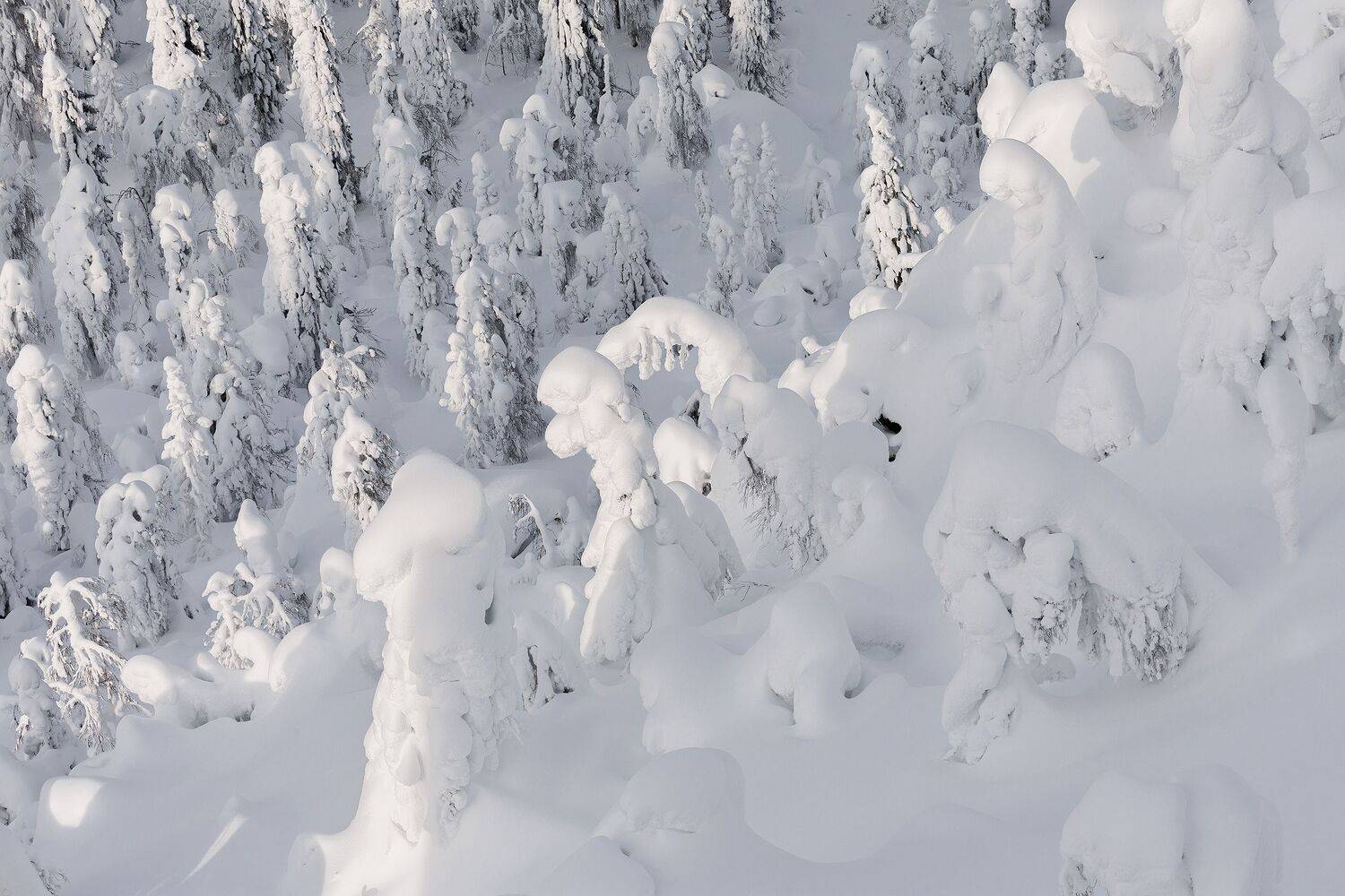 Урал, Полюд, Зима, Кочкин Владимир