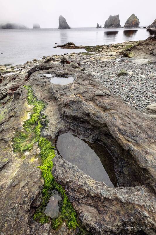 курилы, шикотан, бухта, маячная *** фото превью