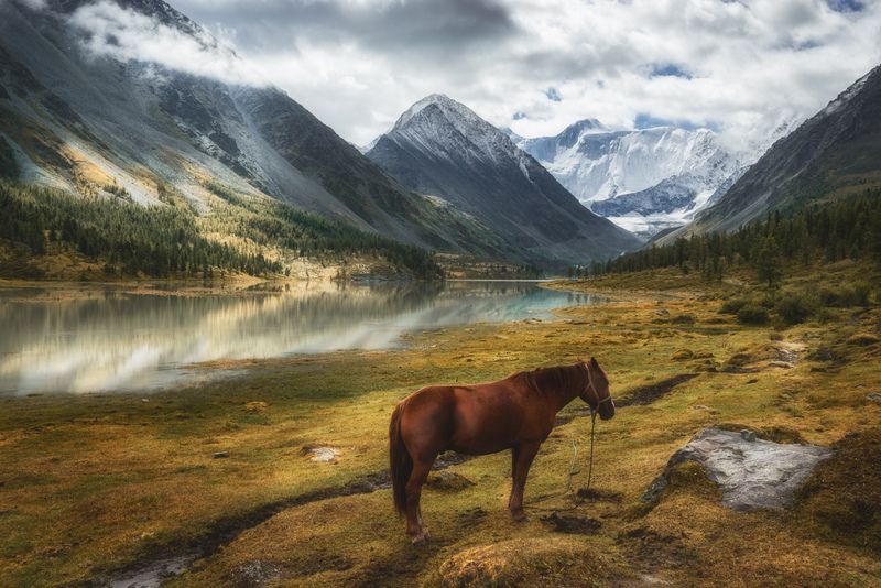 *** фото превью