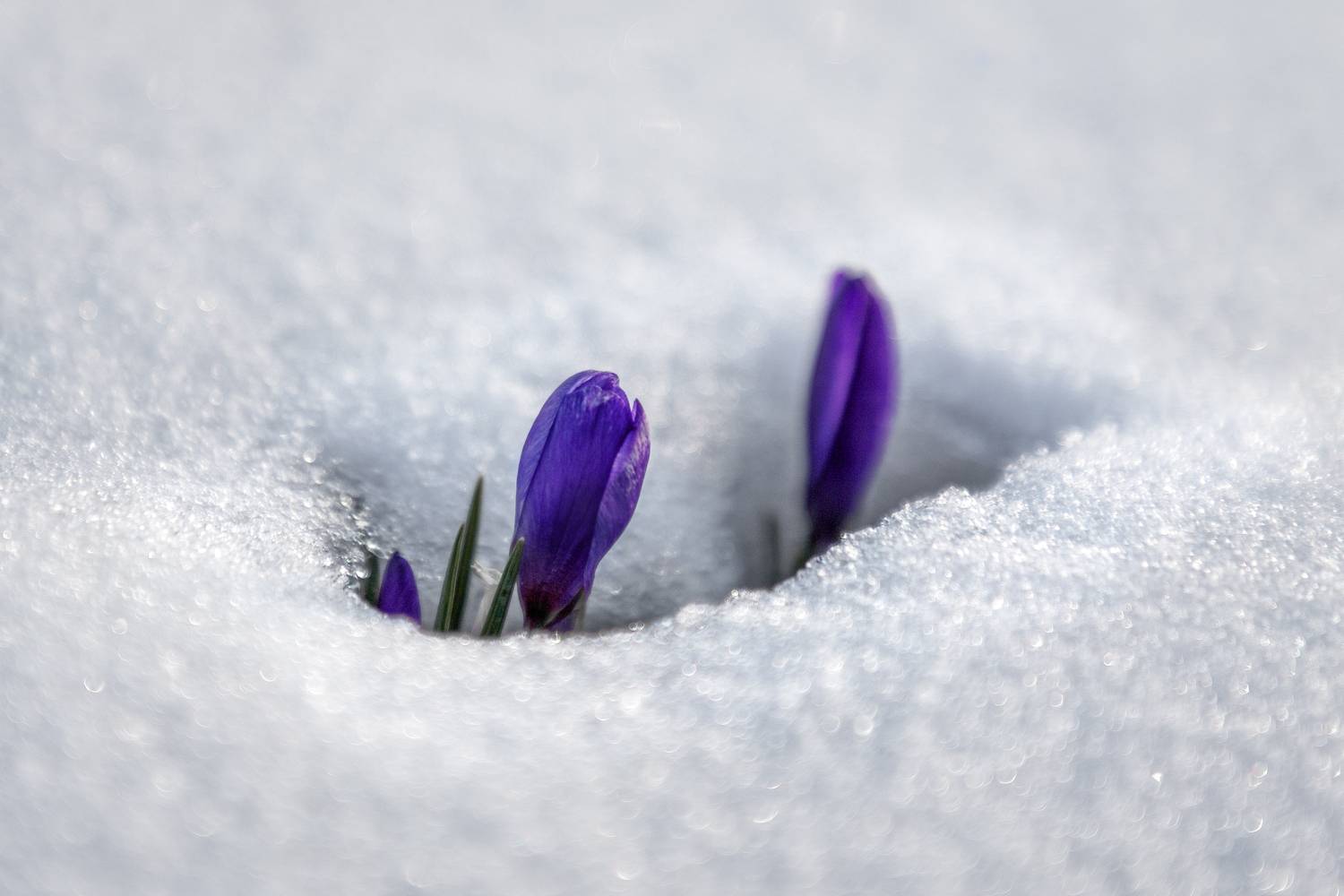 Крым, Гусева Елена