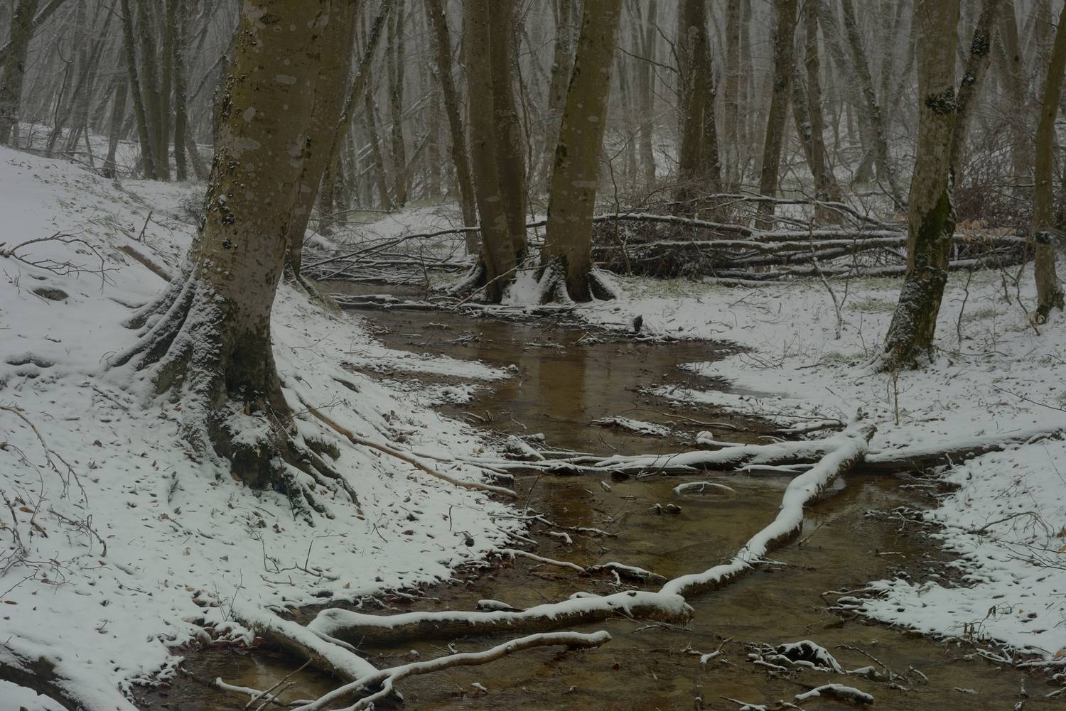 ручей, зима, лес, Александр Жарников