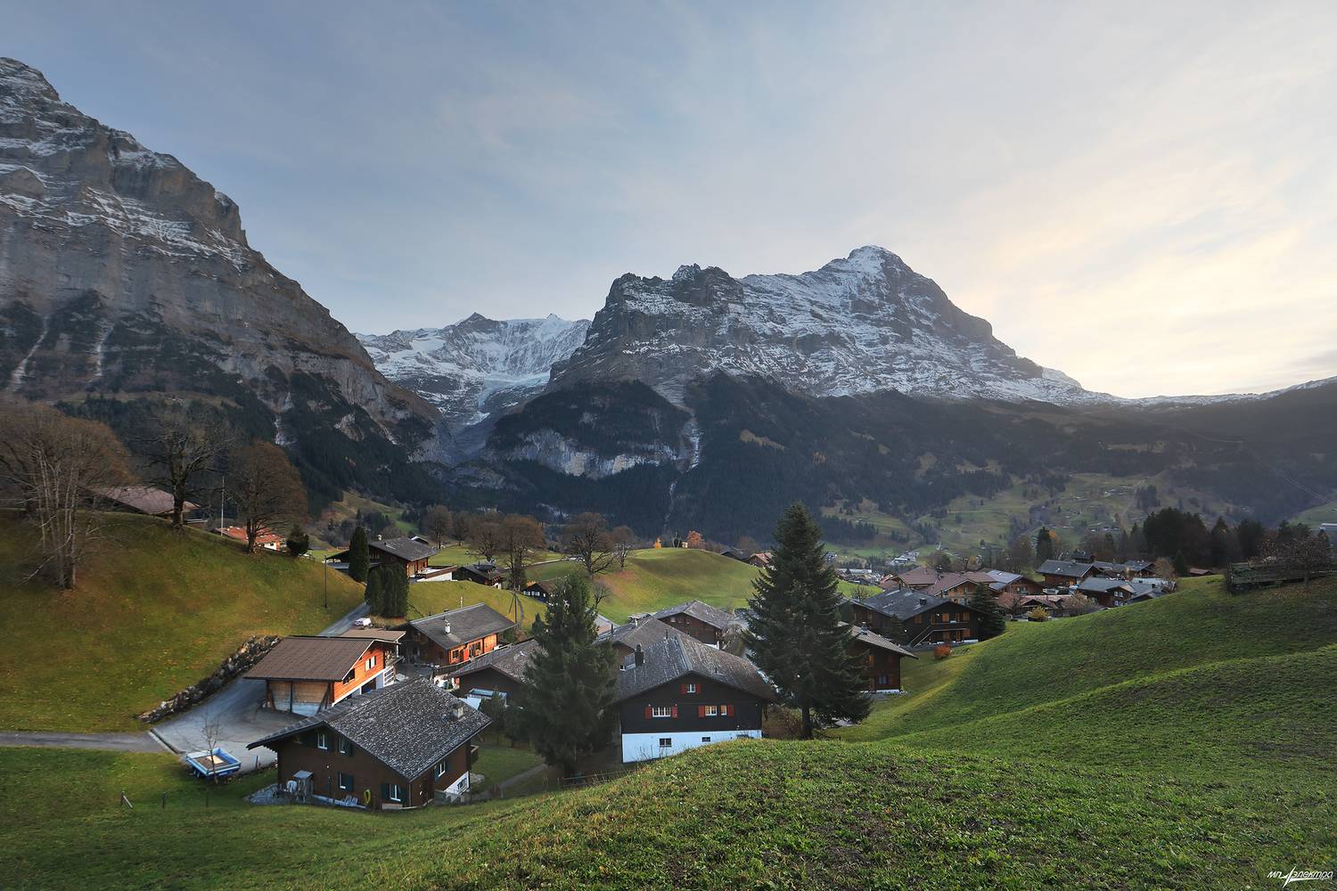 swiss, Матвеев Николай