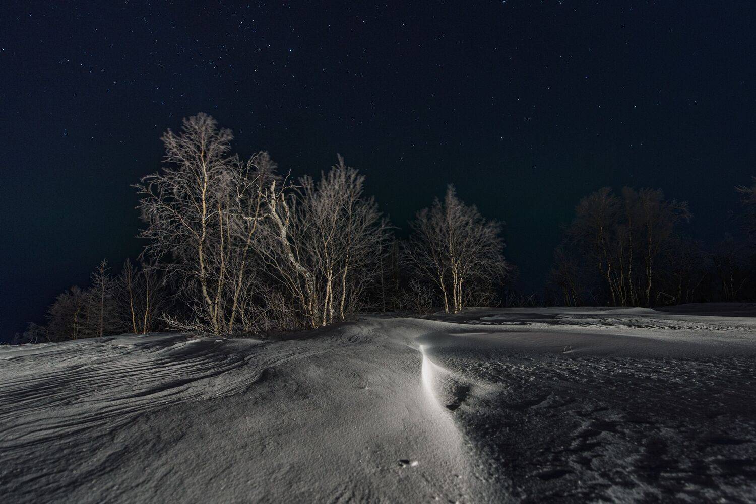 зима, холод, мороз, тундра, янао, надым, никон, снег, Сторожев Олег