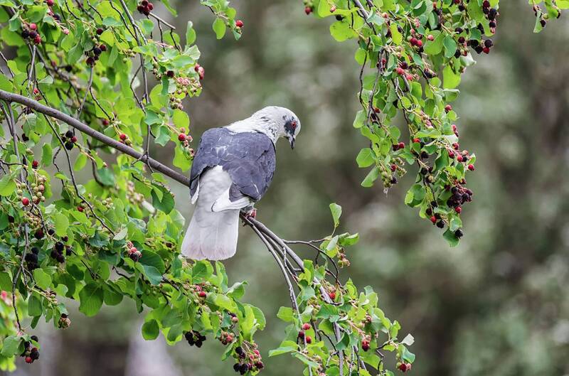 Городские жители. (2 фото) фото превью