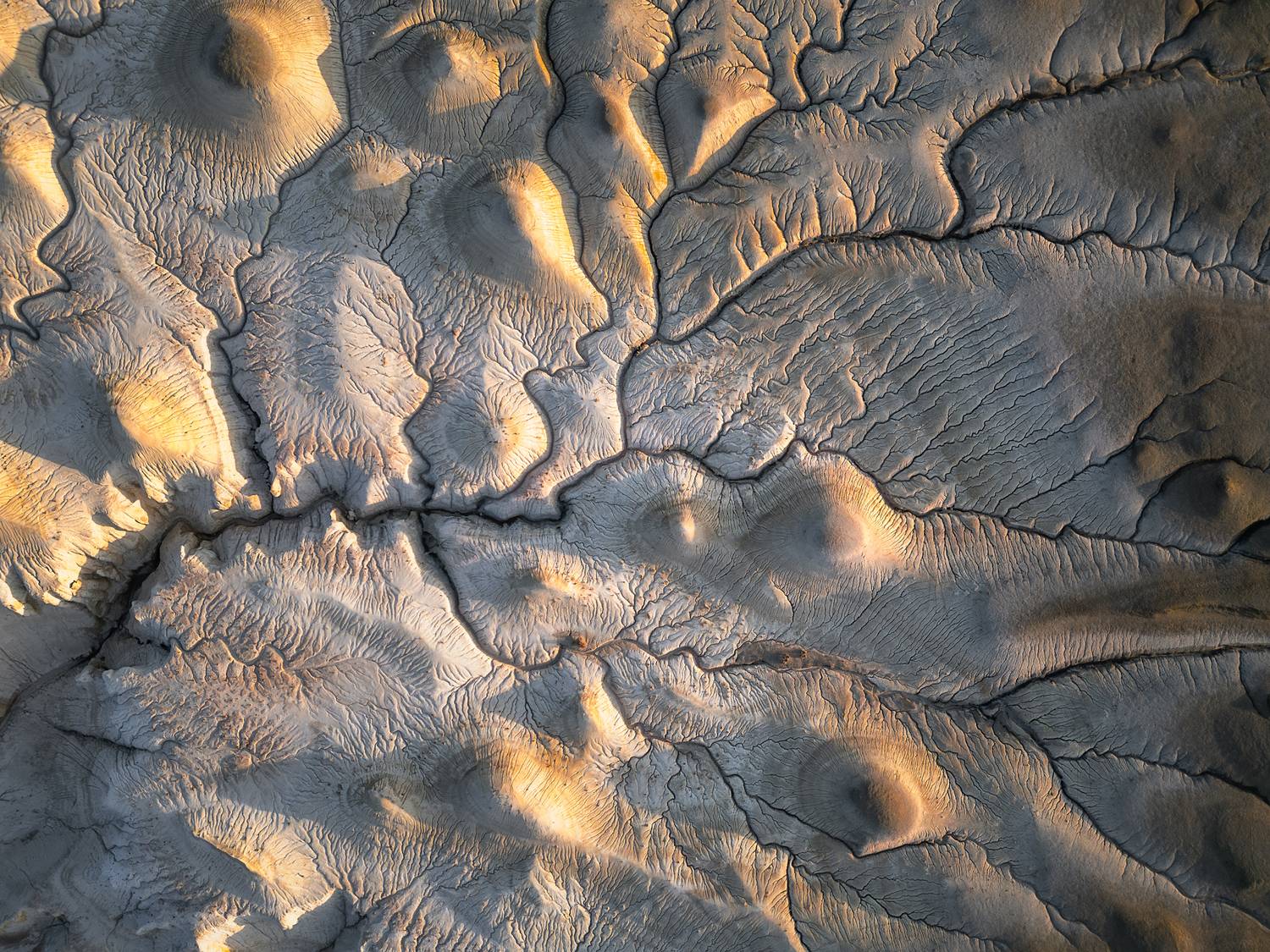 , Михаил Харитонычев